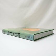 Amazon.co.jp: ゼフィルス24 日本産ミドリシジミ類24種-蝶の生態写真集