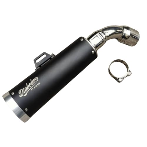 Amazon | Diabolus ホンダ 新型レブル250用マフラー RB0192 / Diabolus