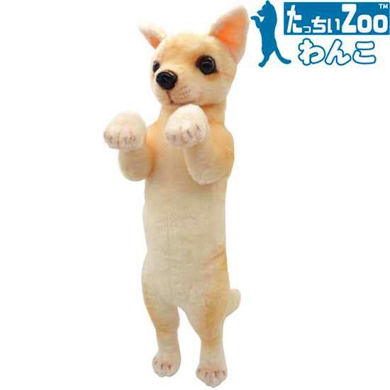 Amazon.co.jp: たっちぃZoo わんこ チワワ たっちぃZOO ワンコ ちわわ