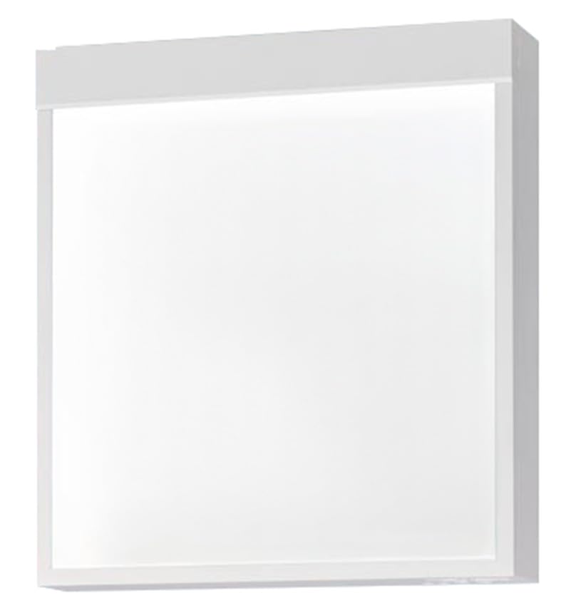 Amazon | パナソニック(Panasonic) 天井直付型・壁直付型・天井吊下型