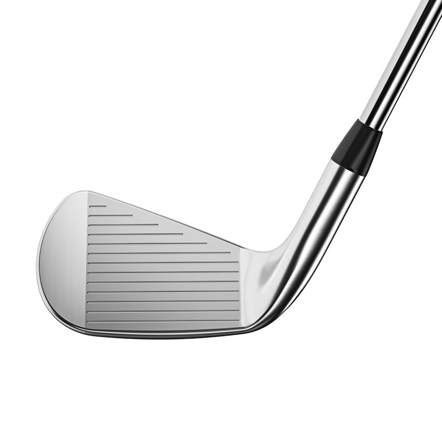 Amazon.co.jp: Titleist(タイトリスト) 2023年 T100 アイアン N.S.PRO