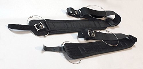 Amazon | 【Fiumebianca/フューメビアンカ】チェロケース (シルバー