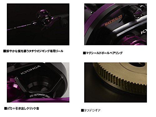 Amazon | ダイワ(DAIWA) ベイトリール(タチウオジギング) 17 鏡牙