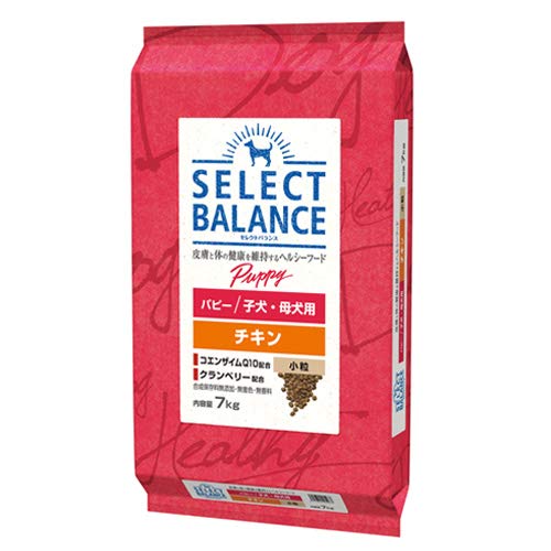 Amazon | ベッツチョイス セレクトバランス パピー チキン 小粒 子犬