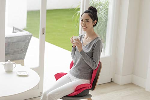 Amazon.co.jp: 芦屋美整体 骨盤スリムスタイリーエアー (チェリー