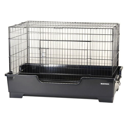 Amazon | 三晃商会 SANKO ワイルドホーム フェレット | Sanko | 飼育