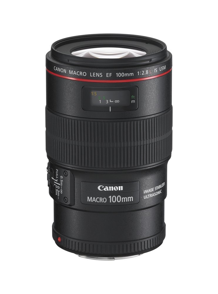 Amazon.co.jp: Canon EFレンズ EF100mm F2.8L マクロ IS USM マクロ