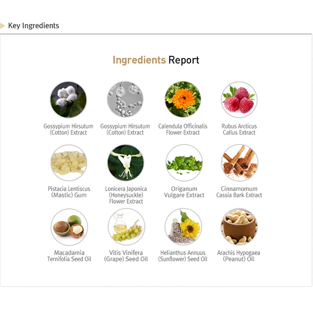 Amazon.co.jp: ルネセル [Rene Cell] アブソーバーダーマルリカバリー