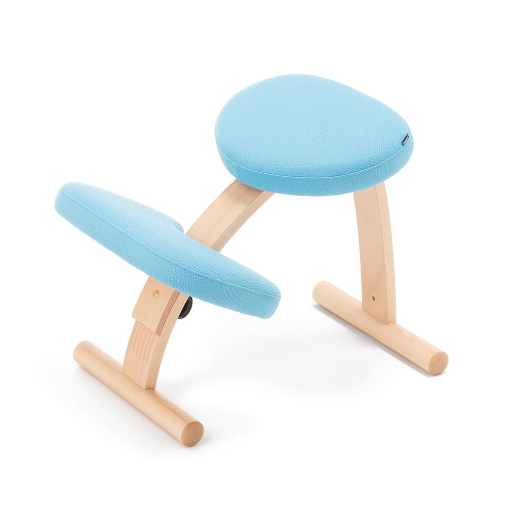 バランスラボ バランスチェア バランスイージー ネイビー 中古品