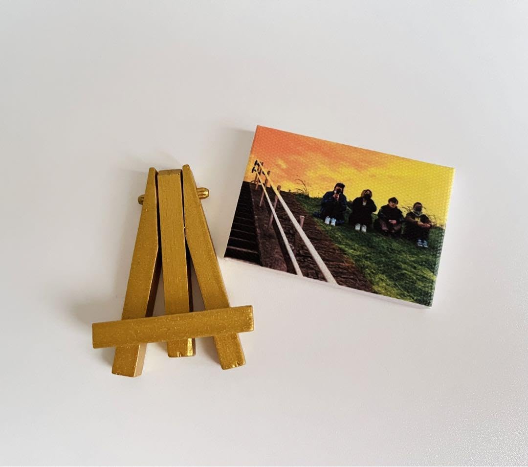 Amazon.co.jp: TOP4トップ4 異物混入 キャンバスボード グッズ : おもちゃ