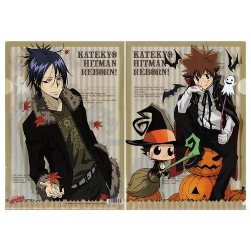 Amazon.co.jp: 家庭教師ヒットマンREBORN! リボーン＆沢田綱吉、六道骸