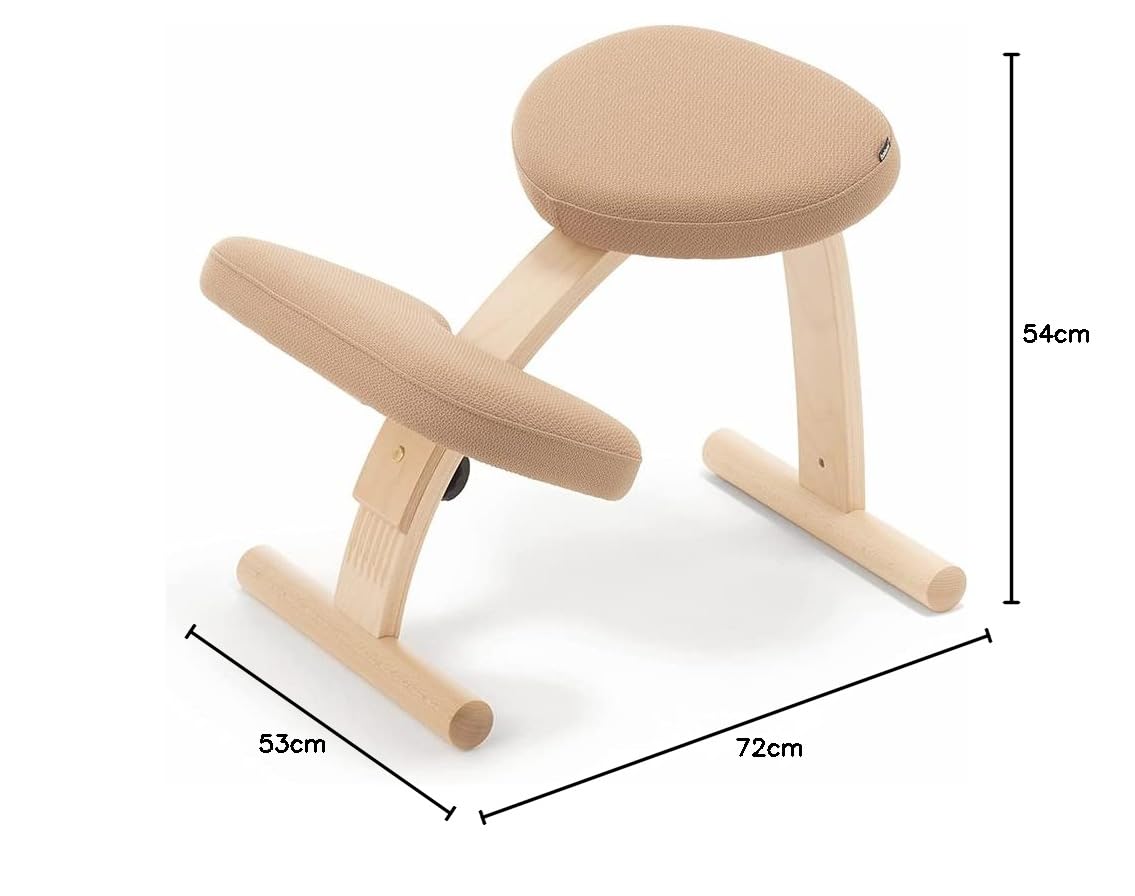 Amazon.co.jp: バランスラボ バランスイージー 通常フレーム 通常箱