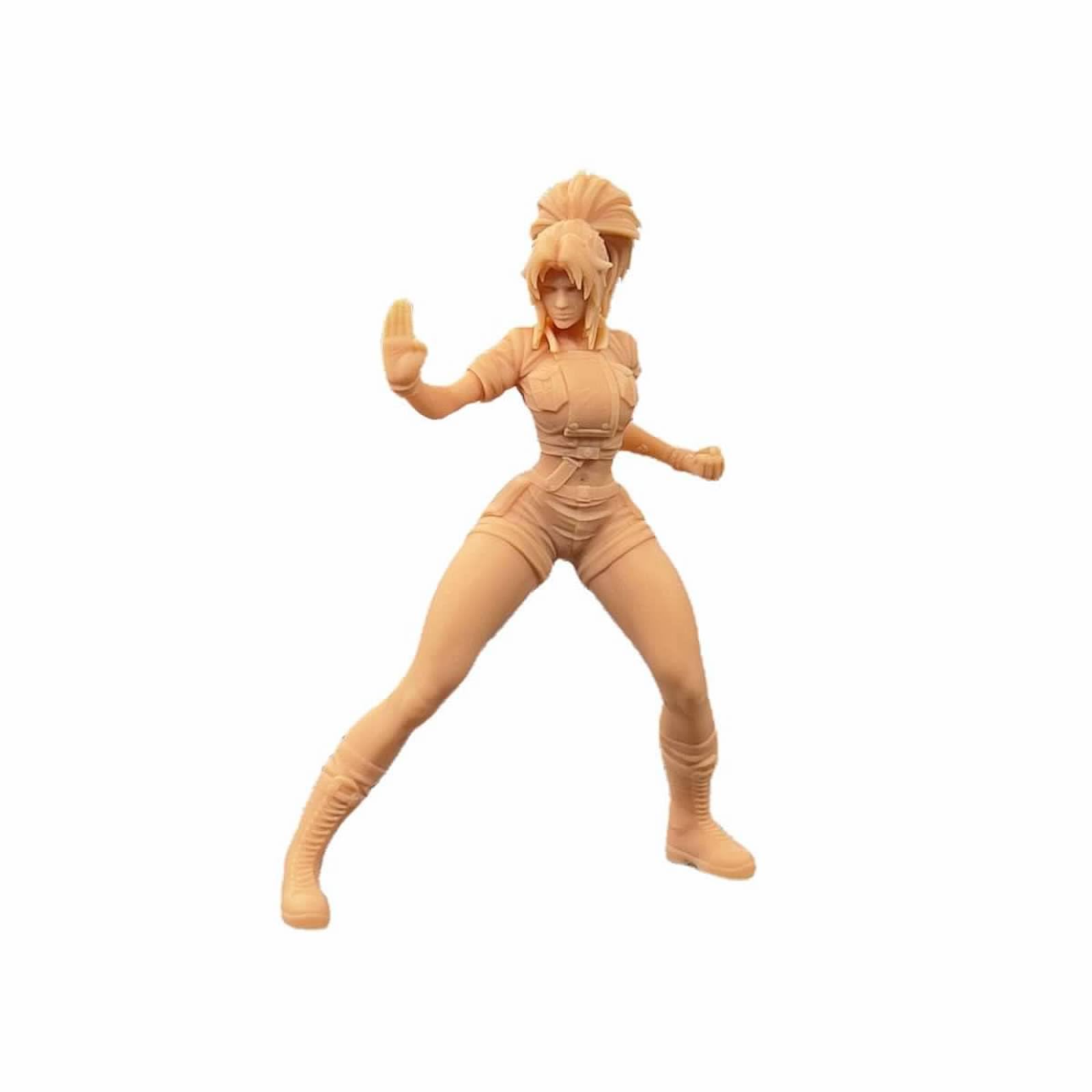 Amazon.co.jp: ZEDACAKAI 1/24 フィギュア アニメ 女性ボクサーキャラ