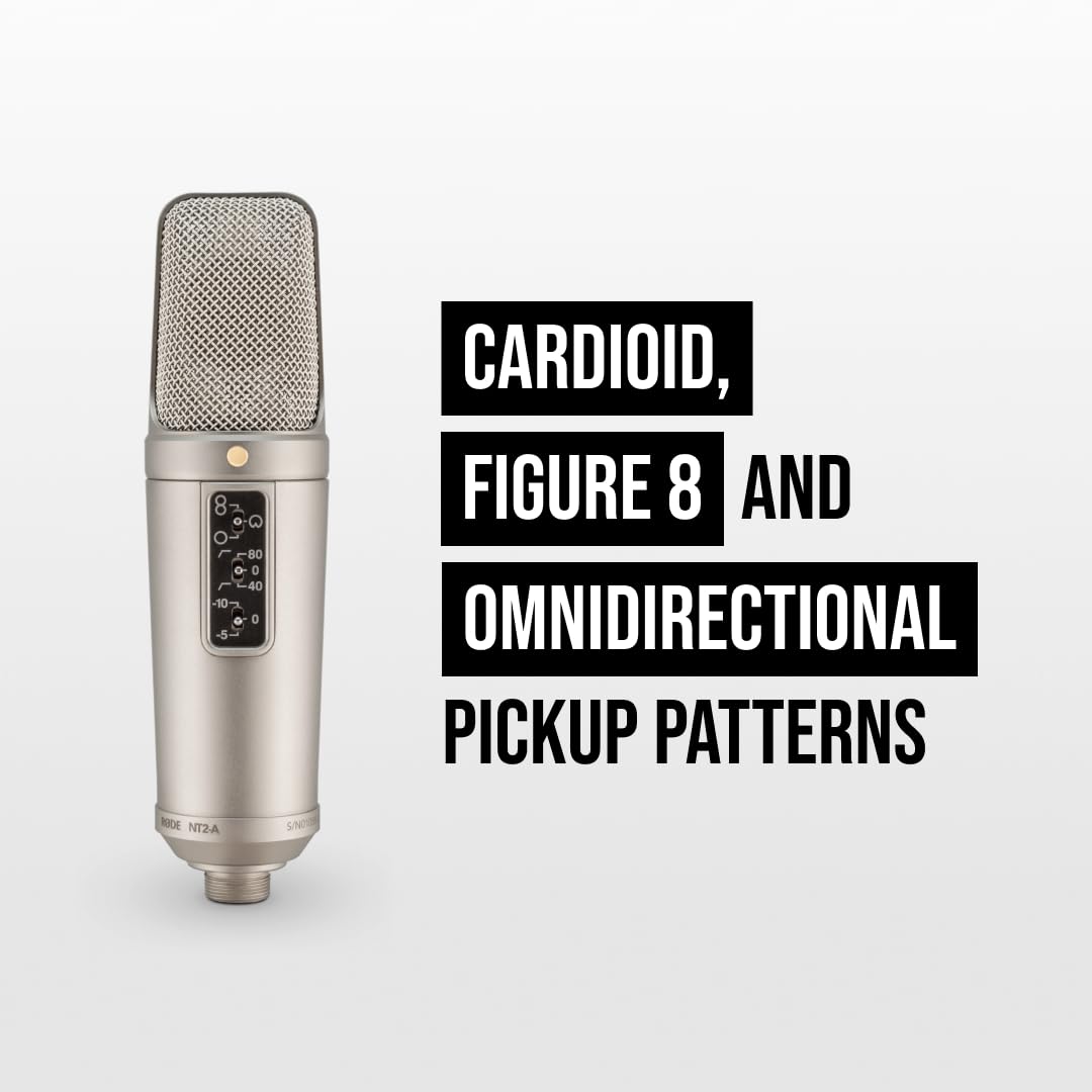 Amazon.co.jp: RODE Microphones NT2-A Condenser Microphone NT2A