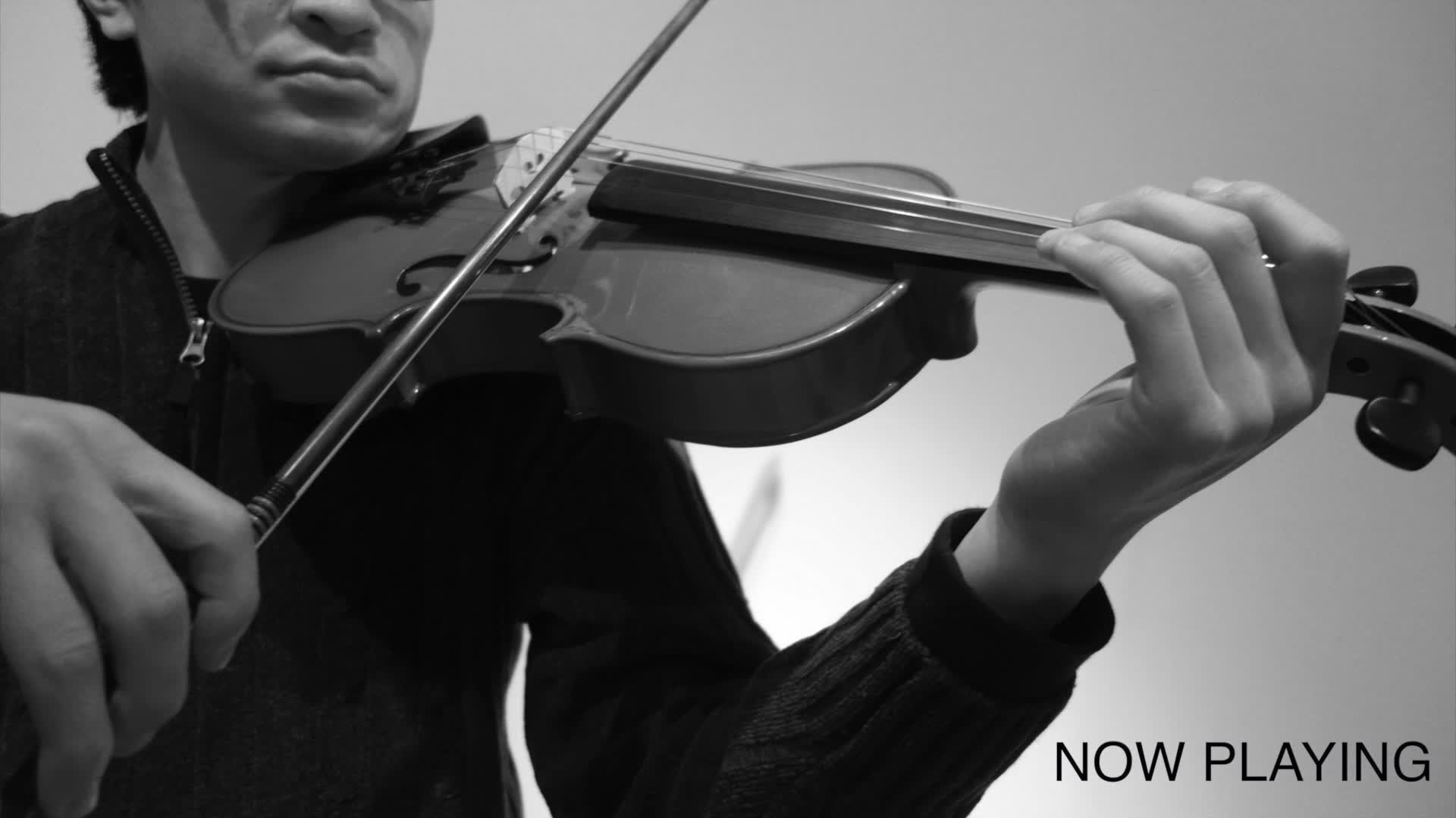 Amazon.co.jp: STENTOR (ステンター) バイオリンセット SV-120 4/4