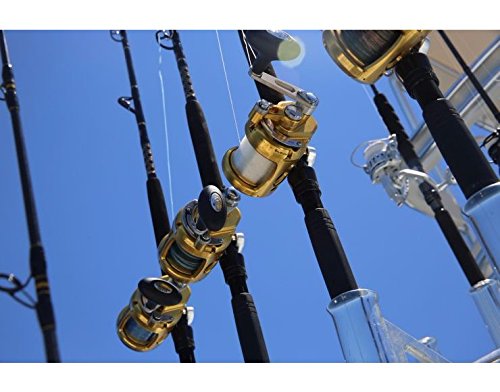 Amazon | Penn Reels 海水レバードラッグ INT80VISWS