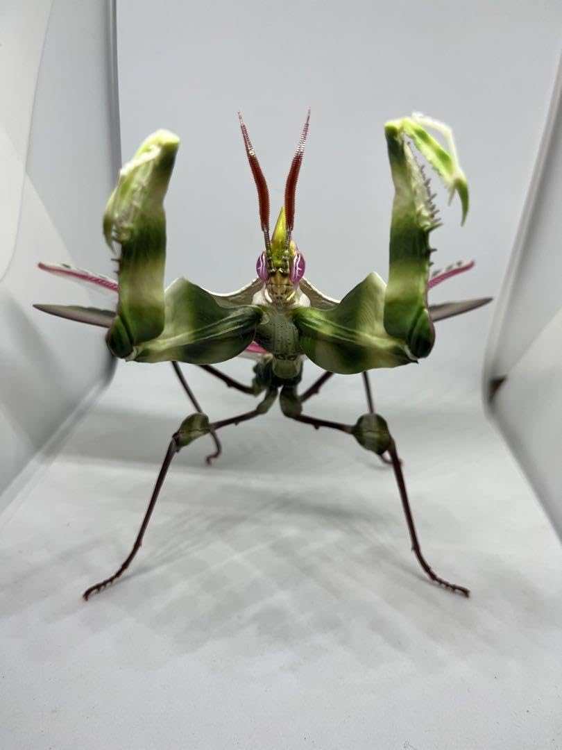 Amazon.co.jp: いきもの大図鑑アドバンス ニセハナマオウカマキリ