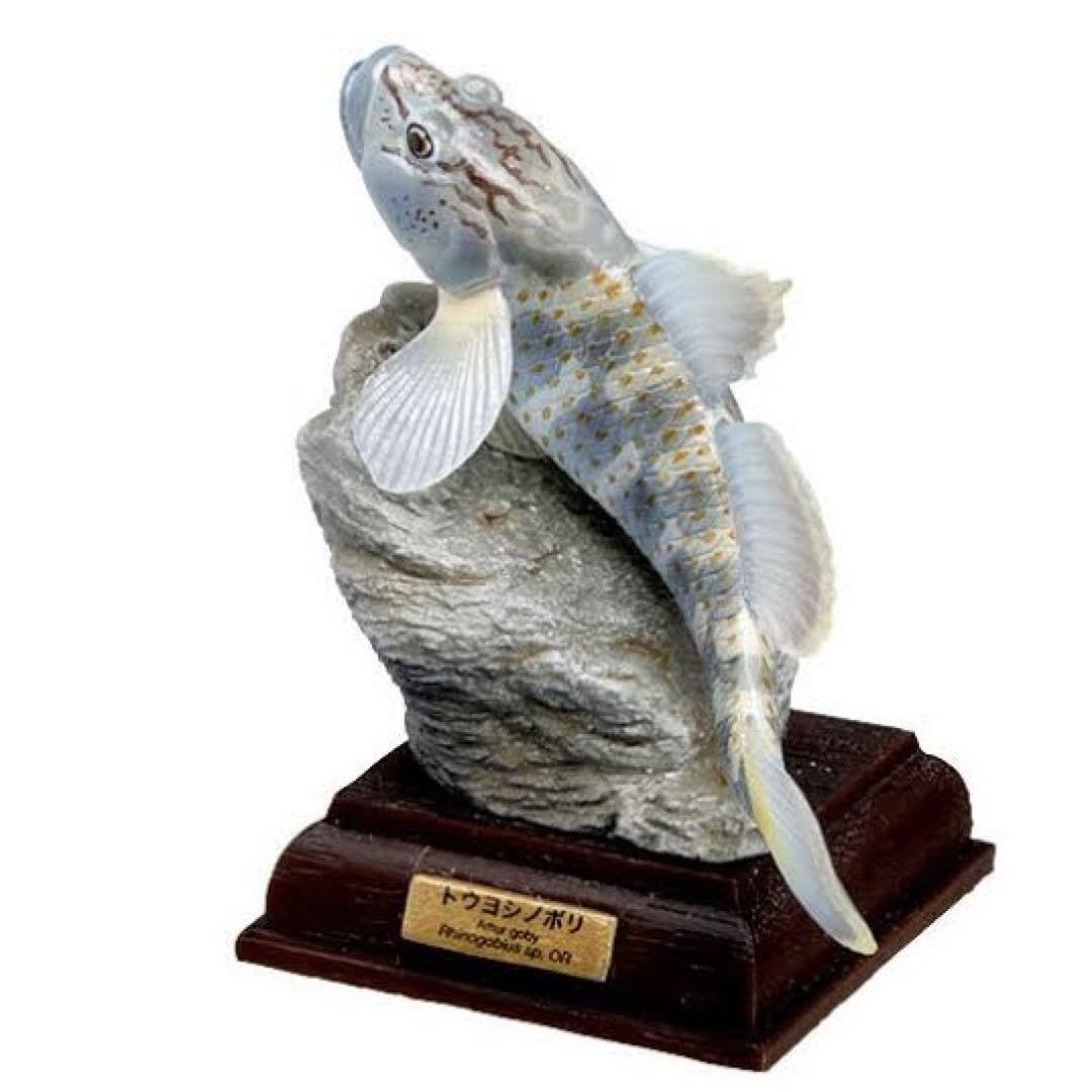 Amazon.co.jp: ネイチャーテクニカラー日本の清流 トウヨシノボリ