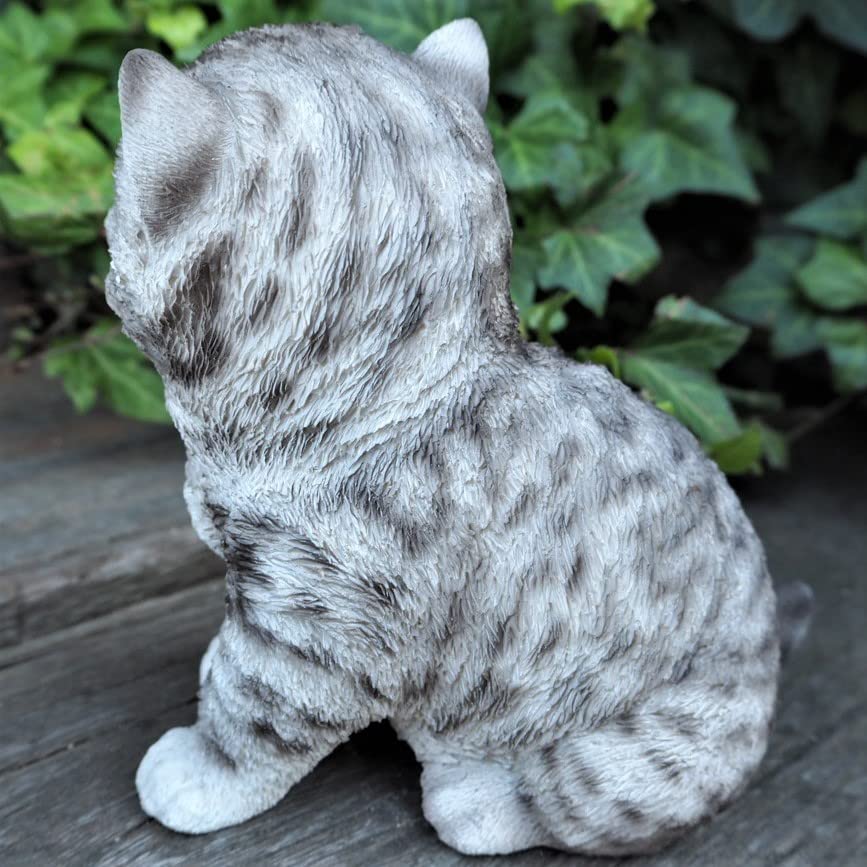 Amazon.co.jp: 猫の置物 アメショ 子猫 1224QYL アメリカン