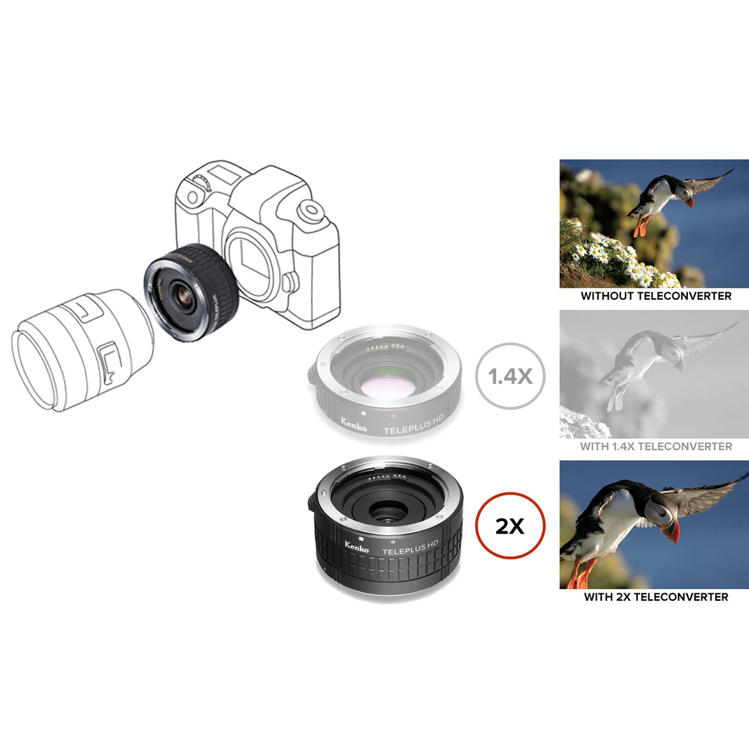 Amazon | Kenko カメラ用アクセサリ テレプラス HD 2X DGX キヤノン