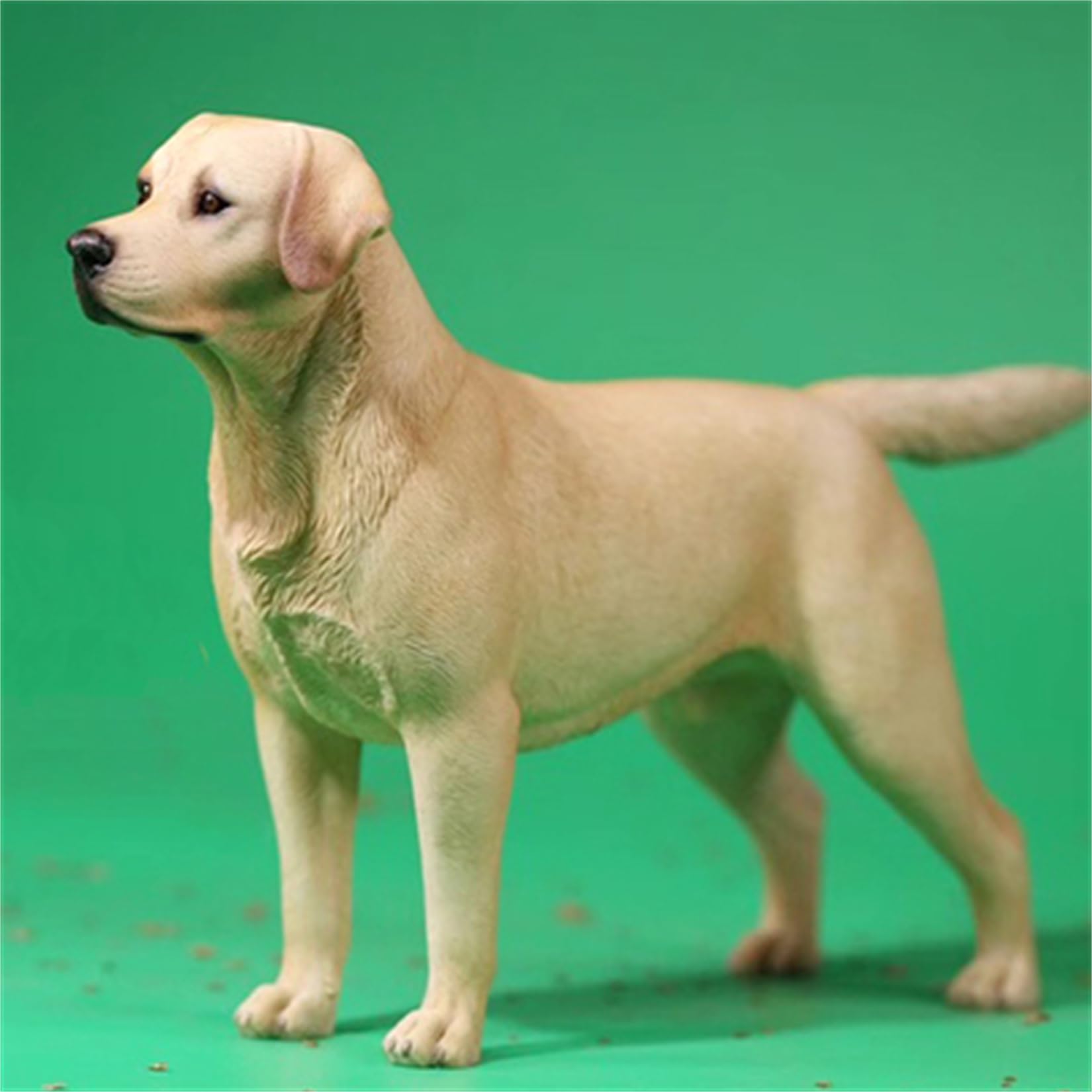 Amazon.co.jp: 1/6 サイズ ラブラドール・レトリバー 可愛い 犬 動物