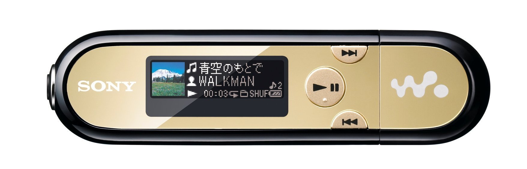 Amazon.co.jp: SONY ウォークマン Eシリーズ FM付 [メモリータイプ