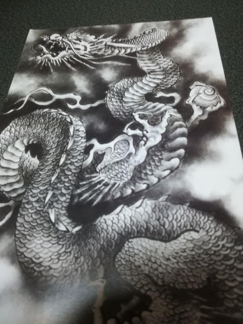 Amazon.co.jp: 加藤龍山 日本画 赤富士昇龍図と水墨画昇龍のポスターの