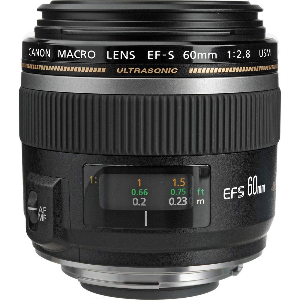 Amazon.com : Canon EF-S 60mm f/2.8 Macro USM Fixed Lens for Canon