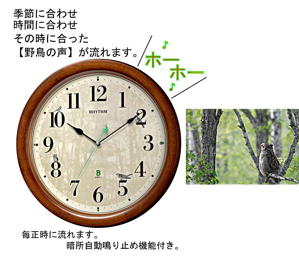 Amazon.co.jp: リズム(RHYTHM) 掛け時計 電波時計 アナログ 連続秒針