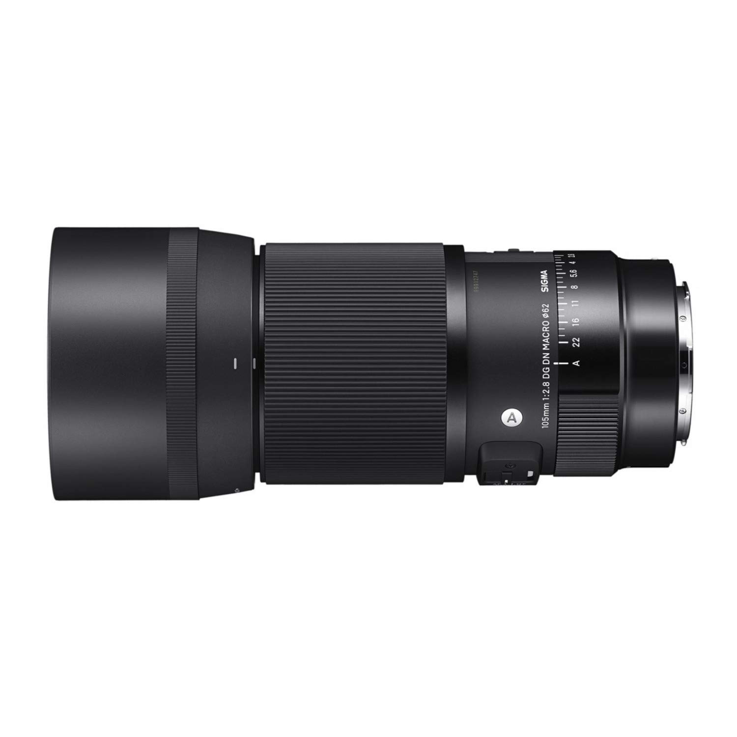 Amazon.com : Sigma 105mm F2.8 DG DN Macro Art (L-mount) : Electronics