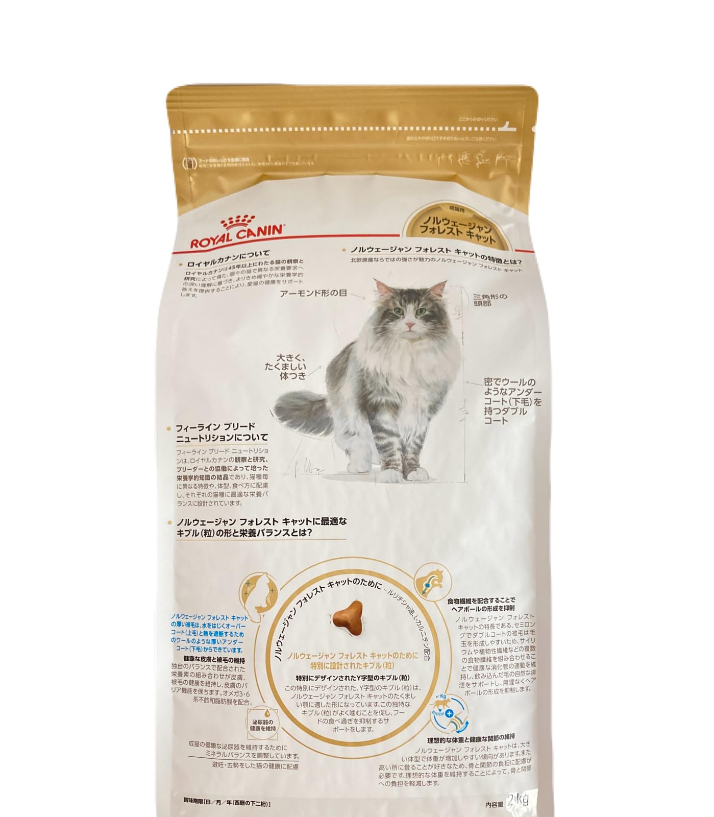 Amazon | ロイヤルカナン ノルウェージャン フォレスト キャット 猫用