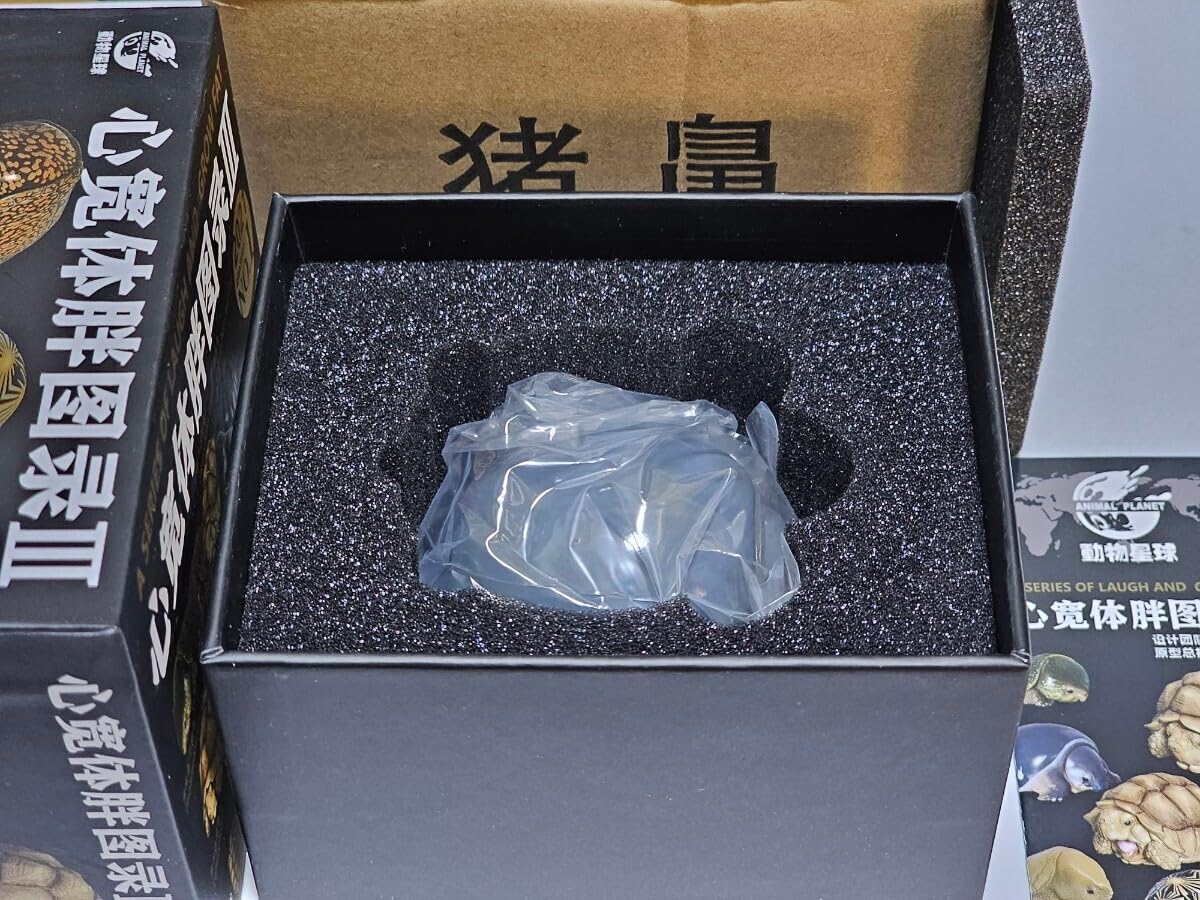 Amazon.co.jp: 廃番動物の惑星 スッポンモドキ 第3弾 動物星球 ANIMAL