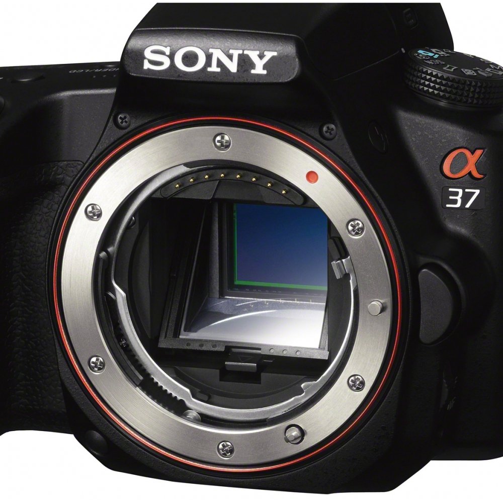 Amazon | ソニー デジタル一眼カメラ「α37」ボディSONY α37 SLT-A37