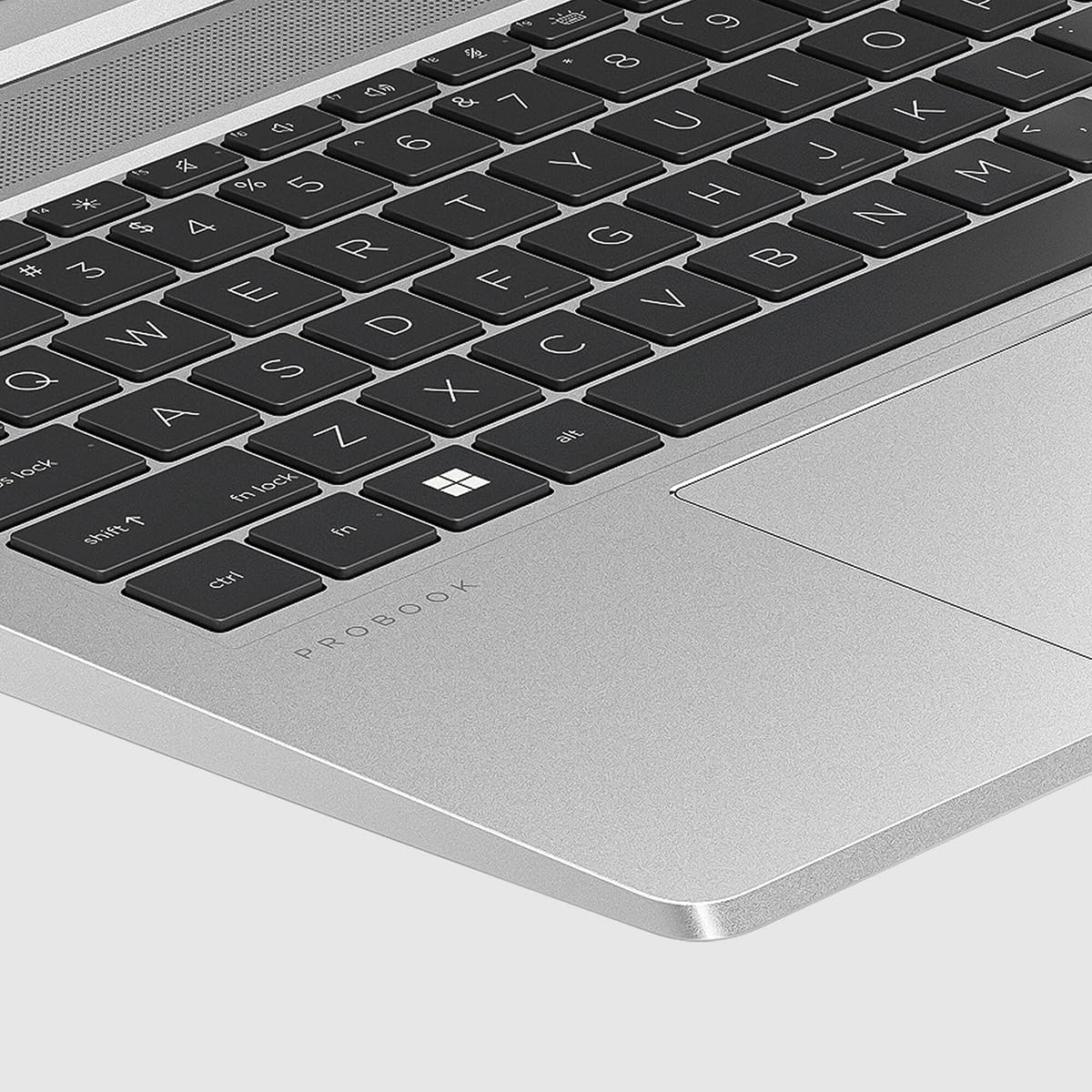 Amazon.com: HP ProBook 455 G10 15.6