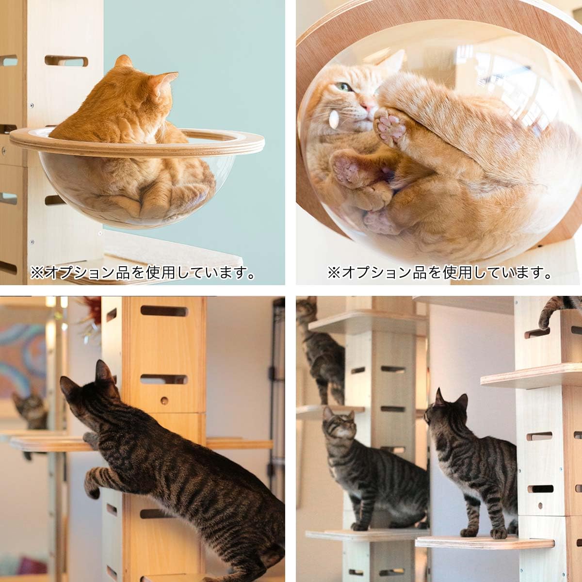 Amazon | ottostyle.jp キャットツリー TOTEM 【ナチュラル】 トーテム