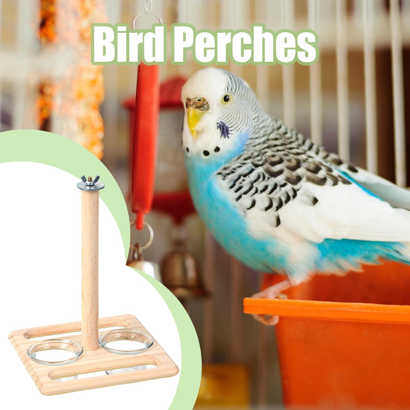 Amazon | ケージ用の鳥の止まり木、鳥の止まり木 - 鳥かごの止まり木