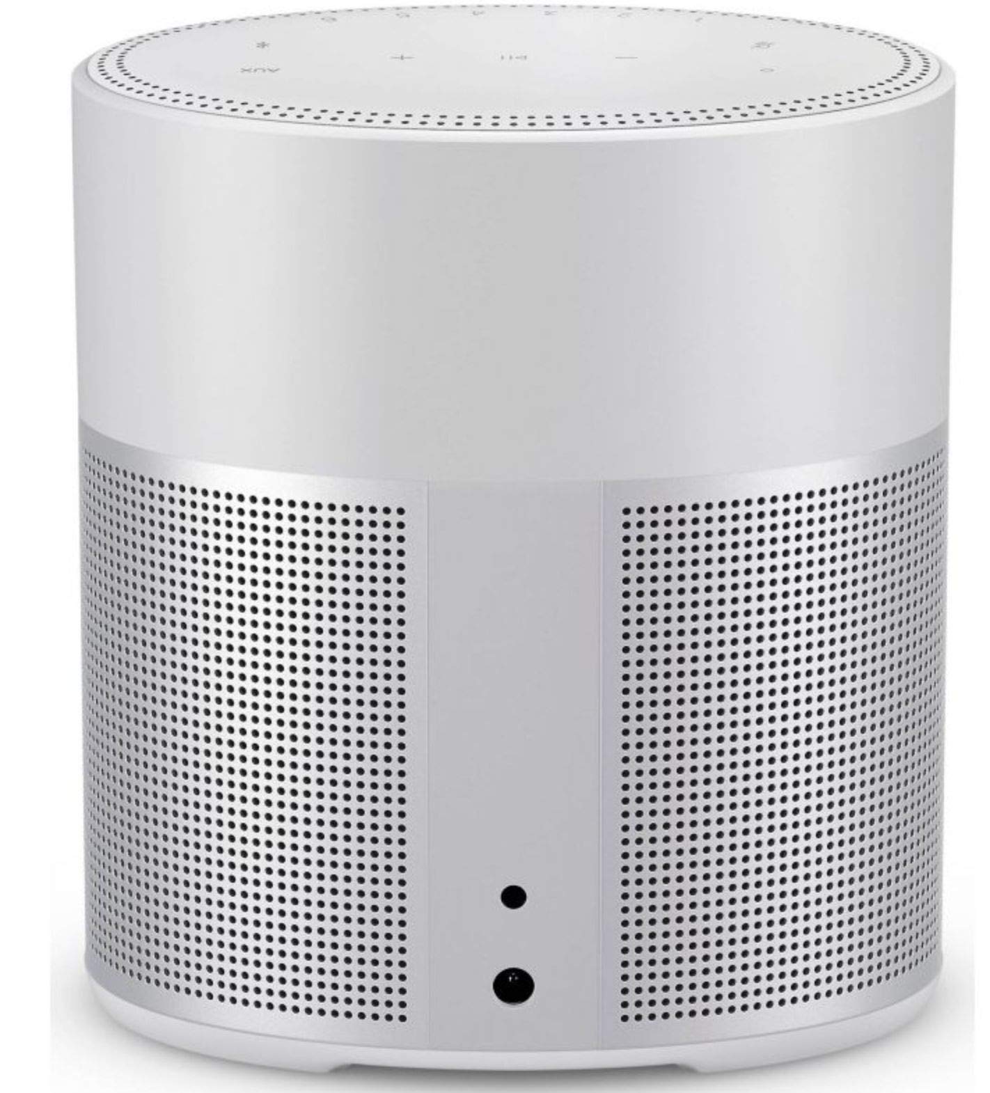 Bose Home Speaker 300 with Amazon Alexa Built-in, Silver : Amazon