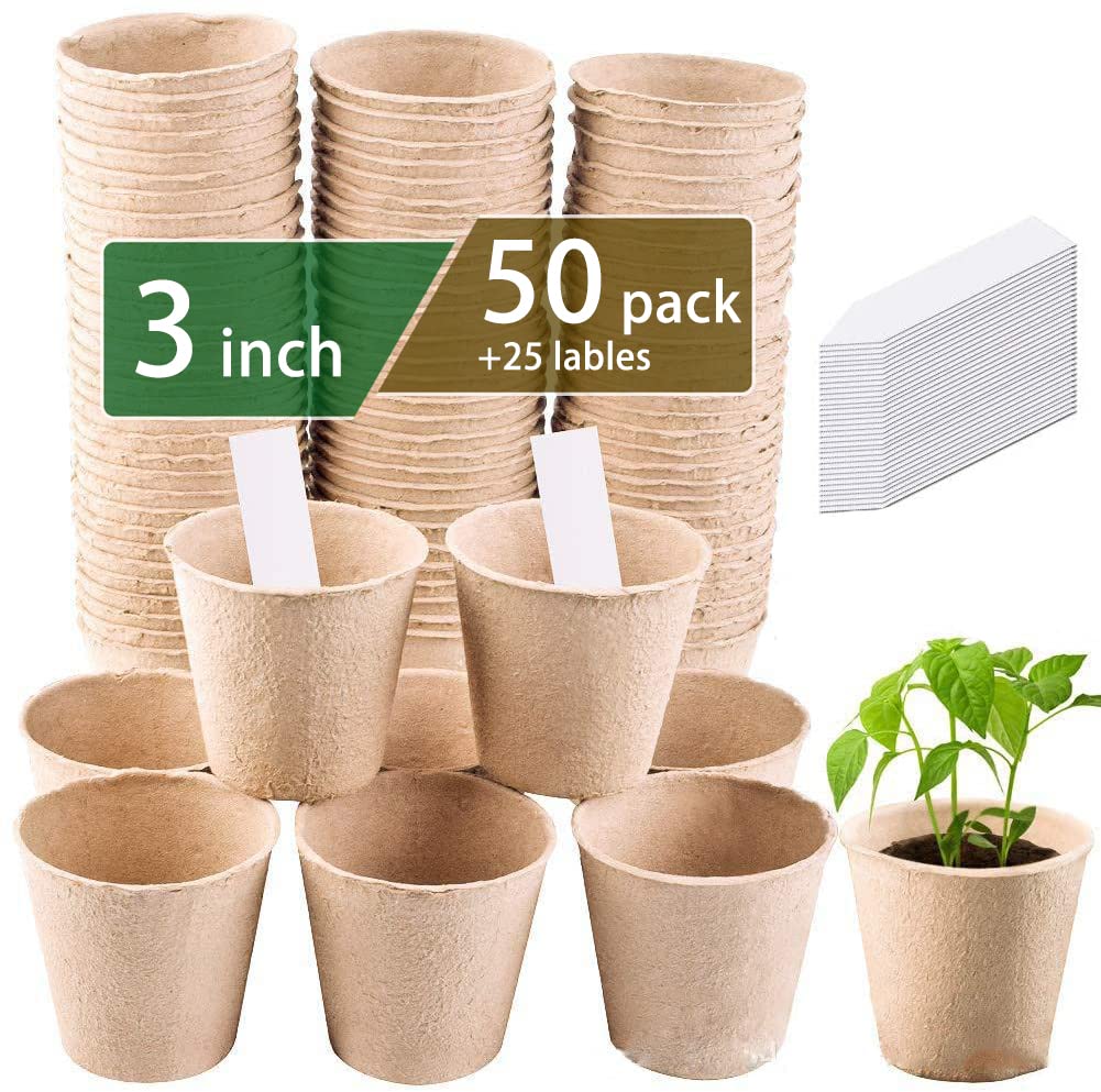 Amazon.com: 3T GROUP 50 Pcs 3 Inch Small Plant Pots,Disposable