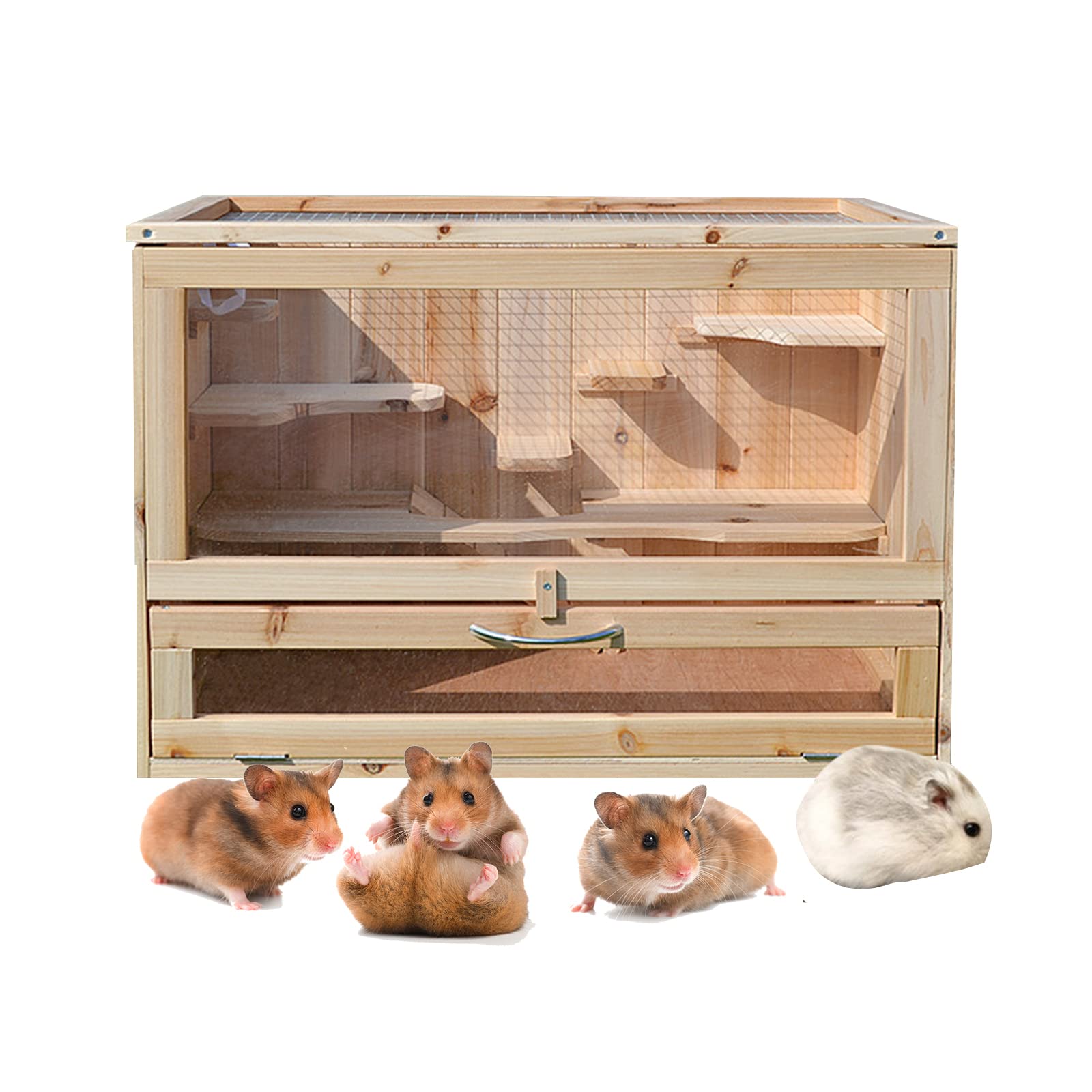 Amazon.co.jp: モモンガ ケージ フクロモモンガ ケージ 天窓付き 専用