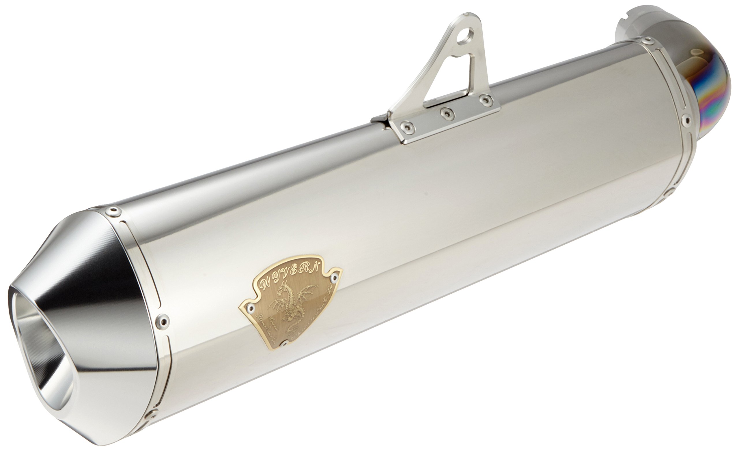 Amazon | アールズギア(r's gear) スリップオンマフラー ワイバン