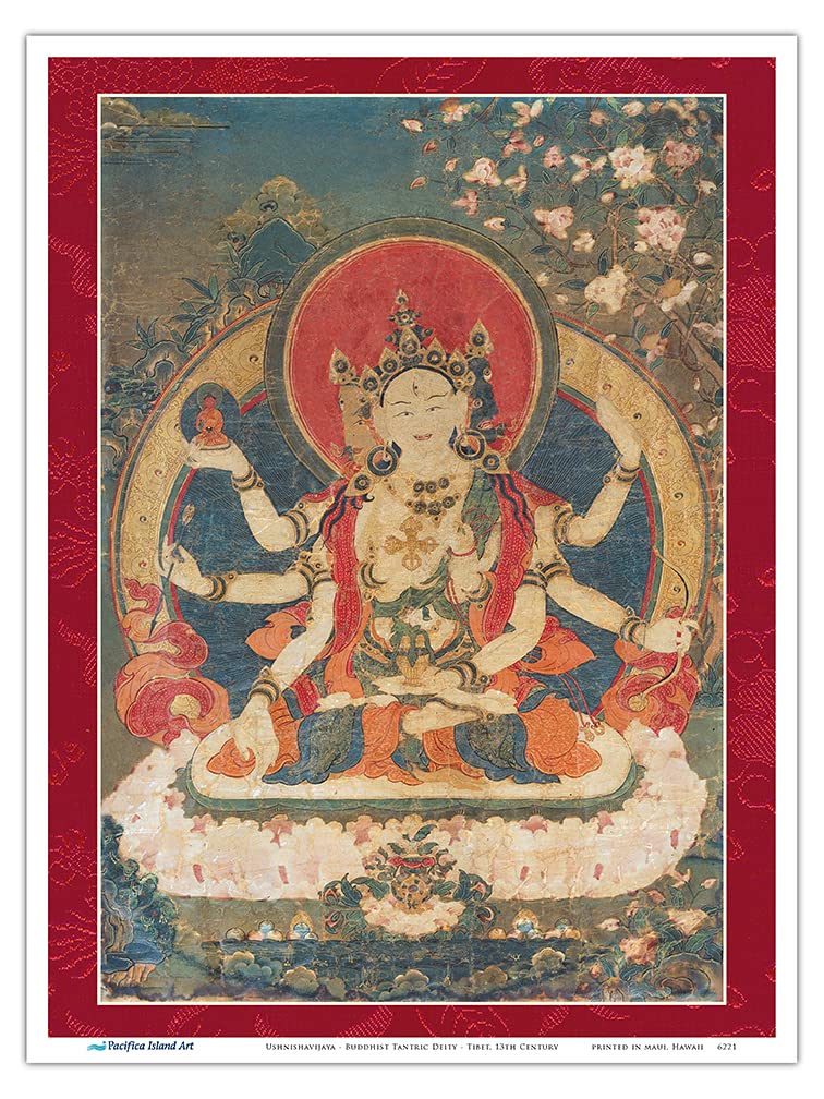 Amazon.co.jp: 長寿の仏教密教-ヴィンテージチベットタンカ仏教絵画