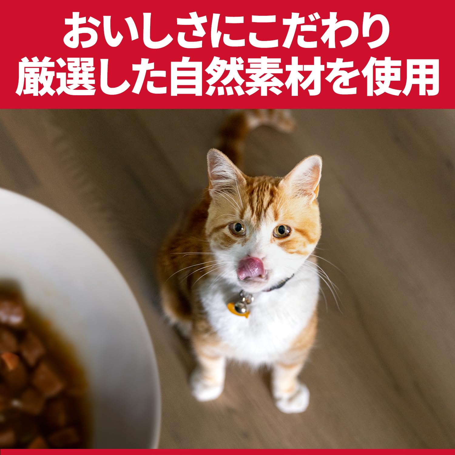 Amazon.co.jp: キャットフード インドアキャット アダルト 1歳~6歳