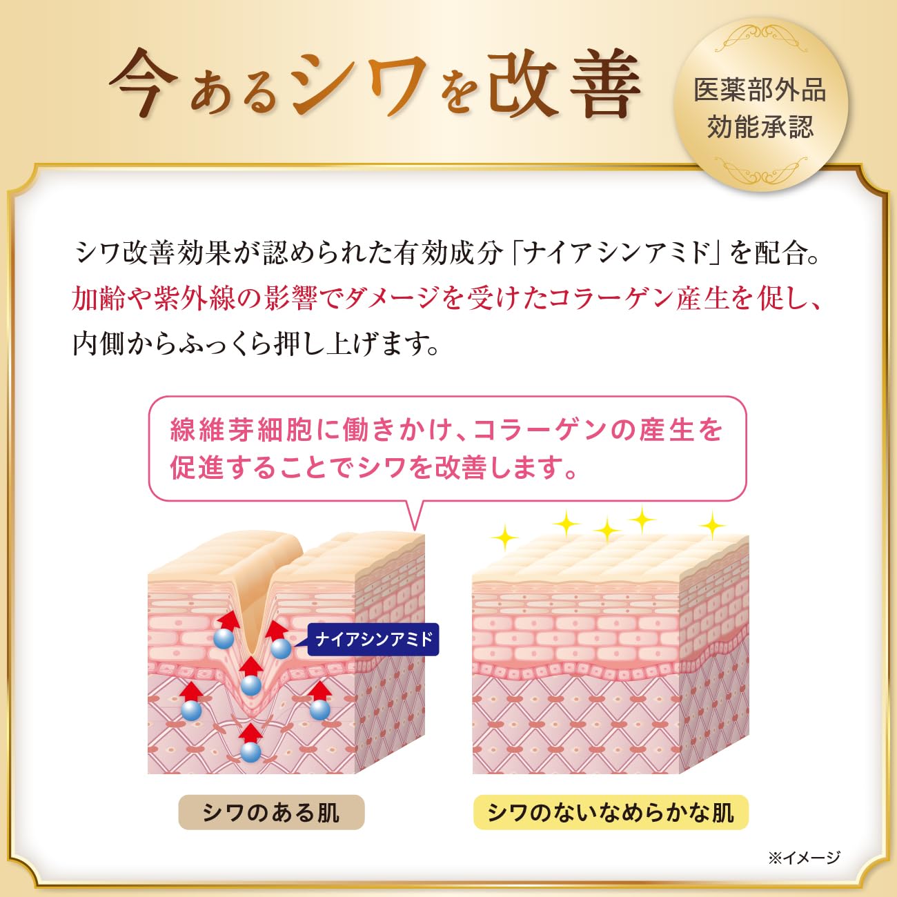 Amazon.co.jp: SEAC (シーク) 世田谷自然食品 シワ改善オールインワン