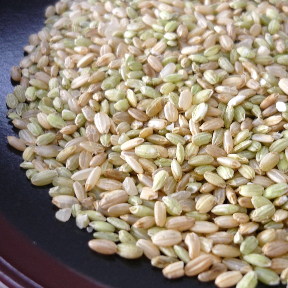 Amazon.co.jp: くず米・青米 5kg／鳥の餌、飼料用、肥料などに