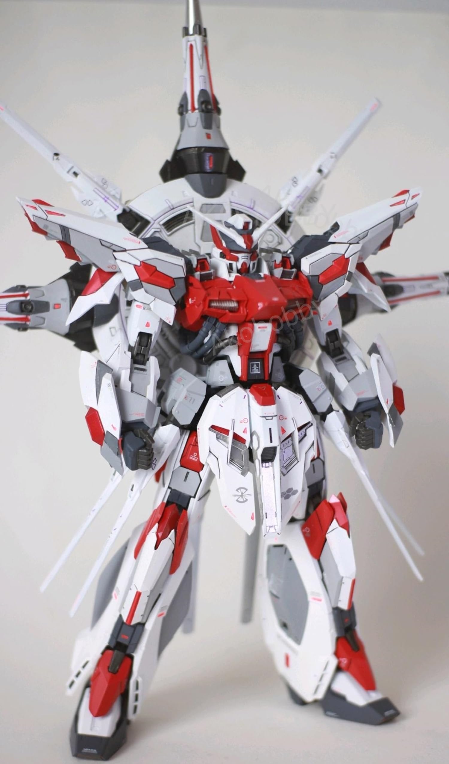 Amazon | MG プロヴィデンスガンダム 改造 パーツ 1/100 レジン ガレジ
