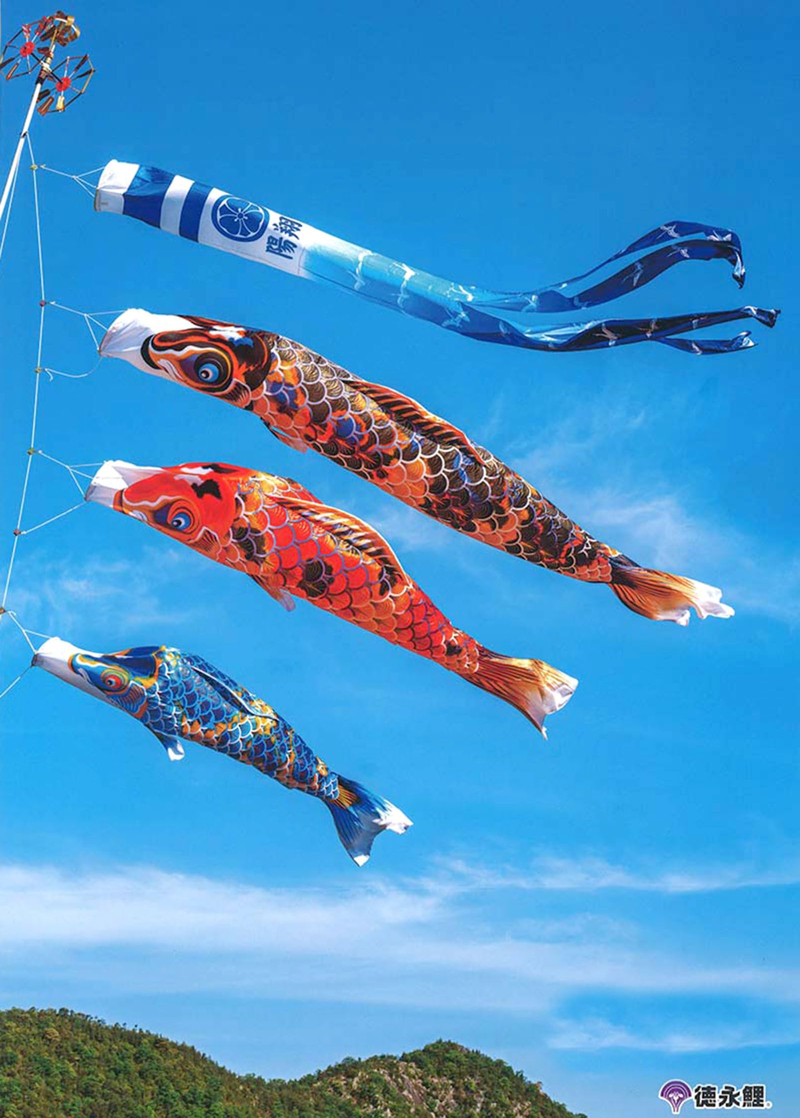 Amazon | こいのぼり 徳永鯉 鯉のぼり ベランダ用 徳永鯉のぼり用取付
