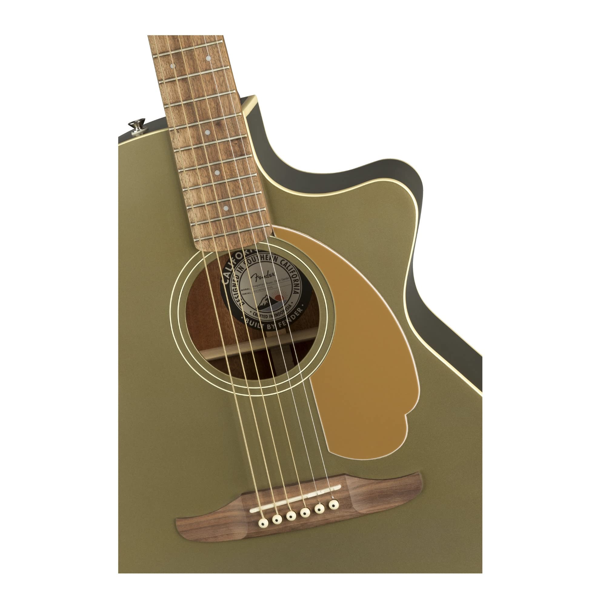 Amazon | Fender エレアコ Newporter Player, Walnut Fingerboard