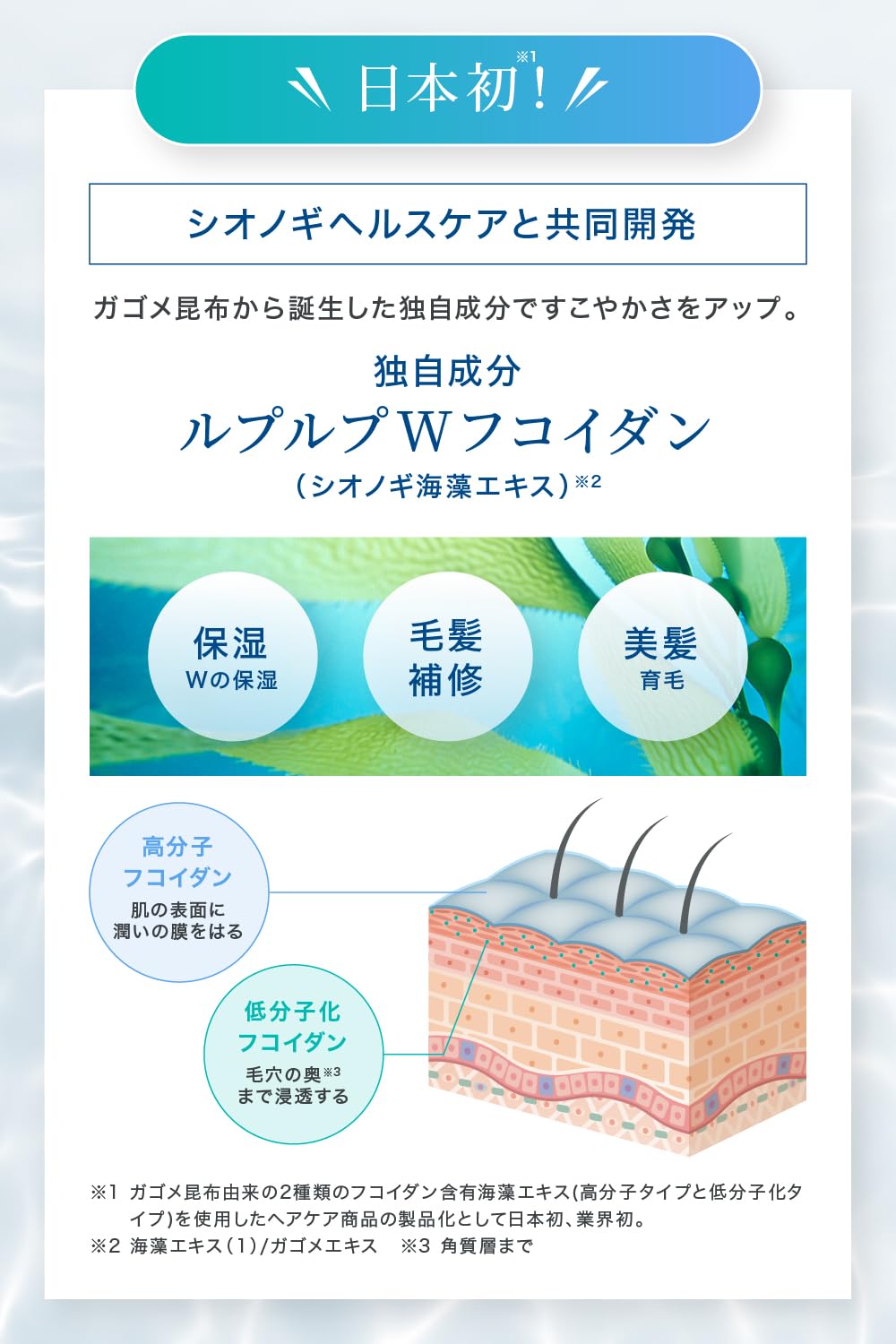 Amazon.co.jp: 【白髪に3分/選べる5色】 ルプルプ LPLP エッセンス