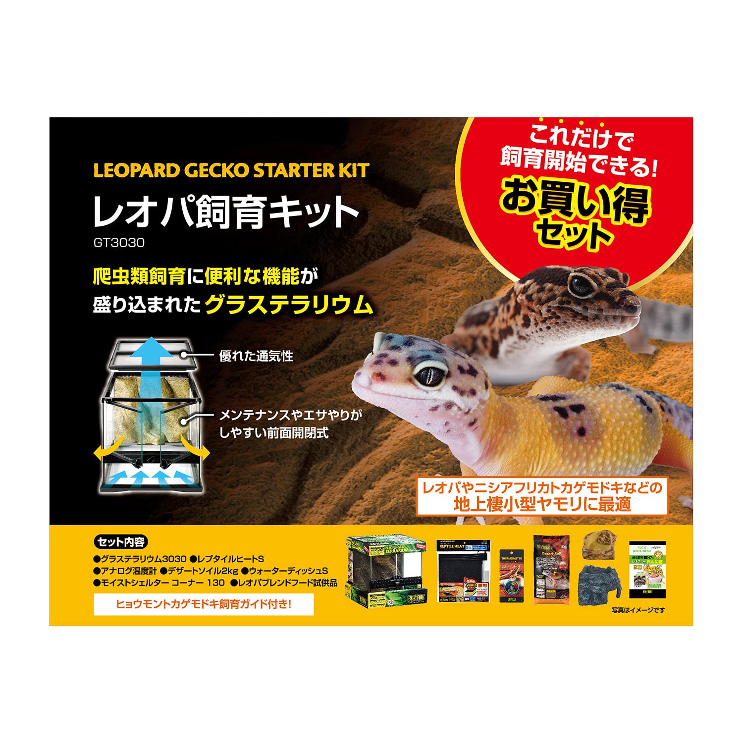 Amazon | GEX EXOTERRA レオパ飼育キット GT3030 爬虫類用ガラスケージ