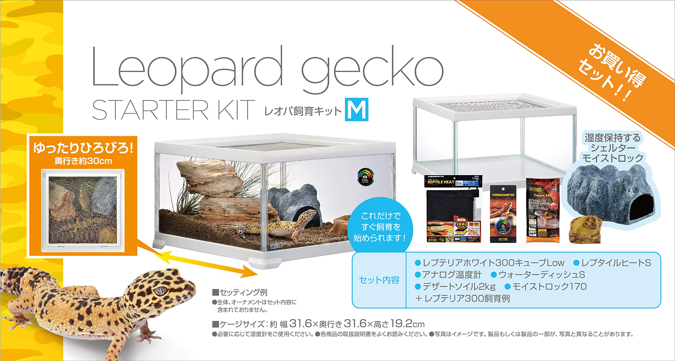 Amazon | GEX EXOTERRA レプテリア レオパ飼育キットM 爬虫類用ガラス